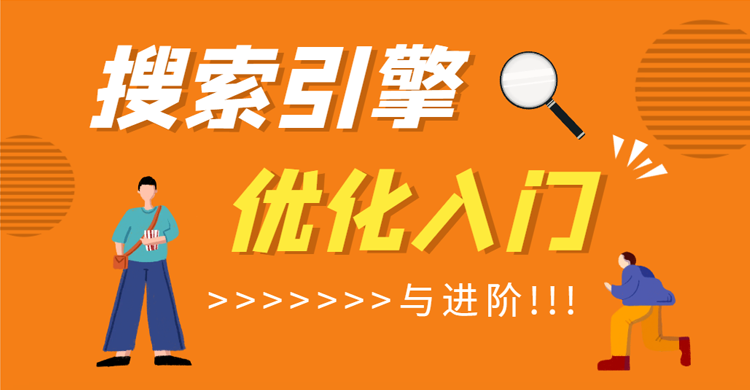seo优化：搜索引擎优化入门与进阶