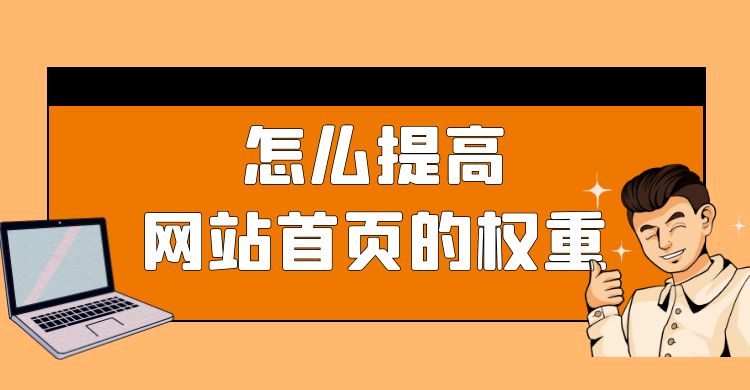 网站seo：怎么提高网站首页的权重