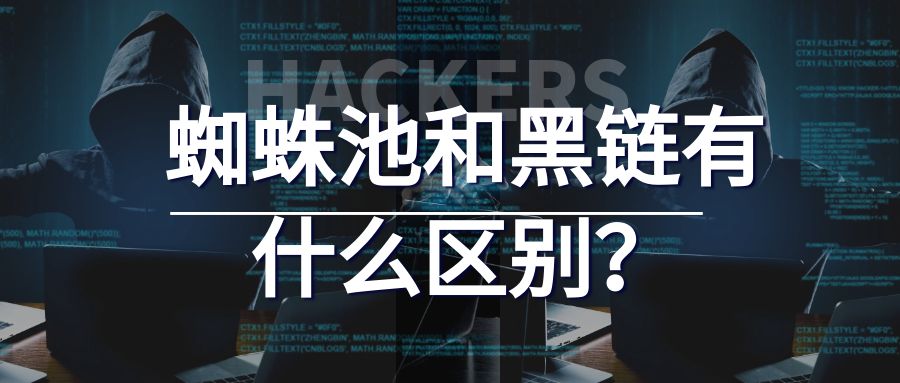 蜘蛛池和黑链有什么区别.jpg